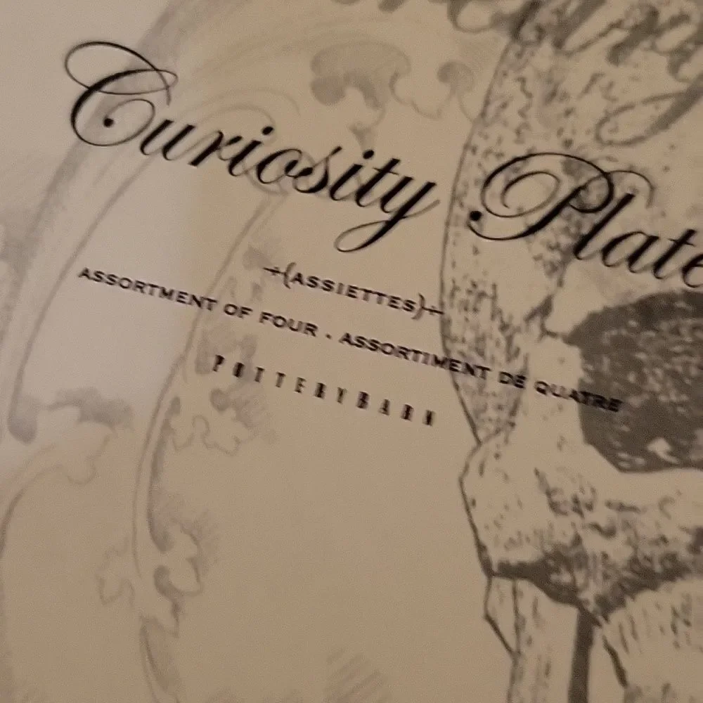 POTTERY BARN Curiosity Plates Midnight Dreary Appetizer SET of  3 6 1/2”